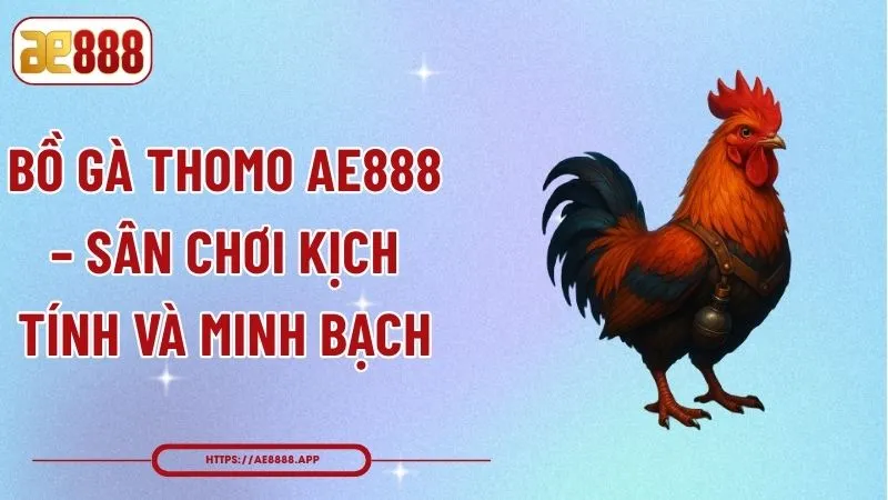 Bồ Gà Thomo AE888 – Sân Chơi Kịch Tính Và Minh Bạch