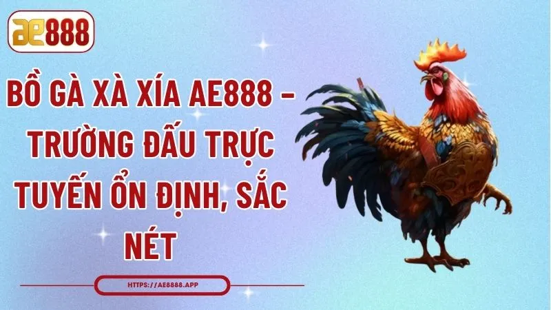 Bồ Gà Xà Xía AE888 – Trường Đấu Trực Tuyến Ổn Định, Sắc Nét
