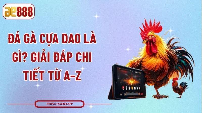 Đá Gà Cựa Dao Là Gì? Giải Đáp Chi Tiết Từ A–Z