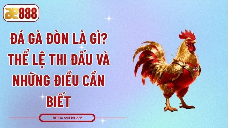 Đá Gà Đòn Là Gì? Thể Lệ Thi Đấu Và Những Điều Cần Biết